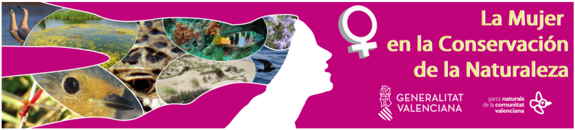 Captura de pantalla 2018-03-13 a las 13.48.24