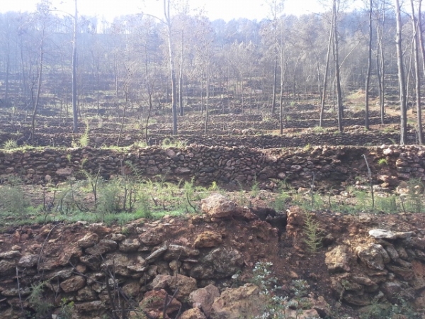 OMIMG_20170131_121024