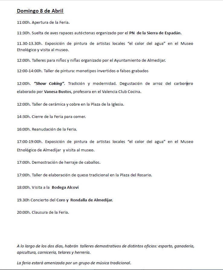 XX Feria de Oficios Domingo