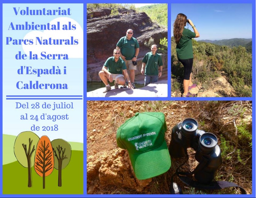 Entrada Voluntariat SASE