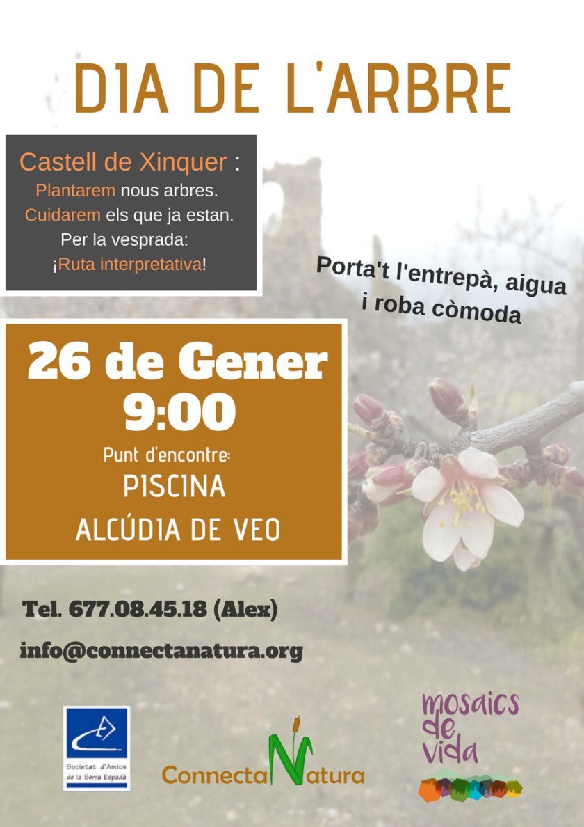 dia de l´arbre_ alcudia de veo_ conecta natura