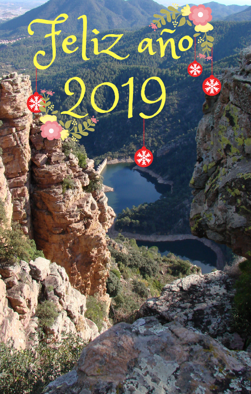 fELIZ AÑO 2019