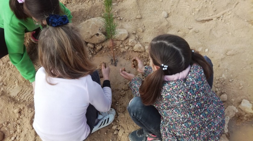 6bfd7763-e739-4c6f-b385-69fc000793c0