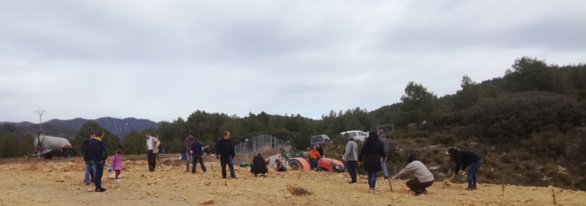 cf0e9142-de1e-4261-b93c-8e3d631f4132