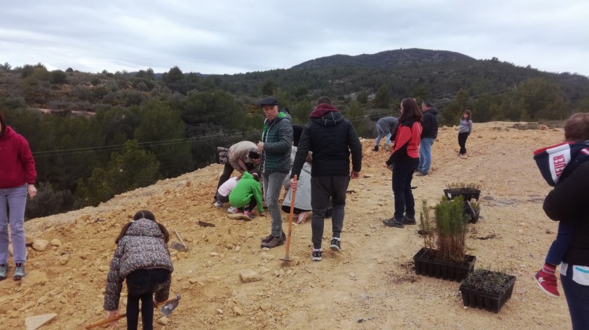 f7ae1082-851a-4b31-856e-095b4d79e317